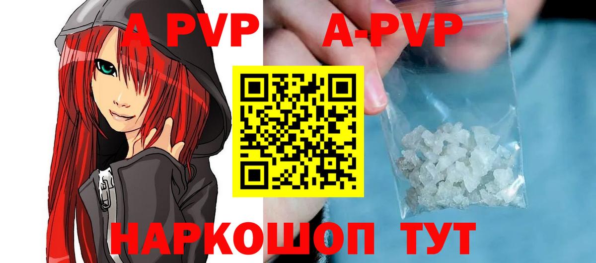 APVP СК  APVP VHQ  Бийск  Альфа ПВП  Вход с VPN 