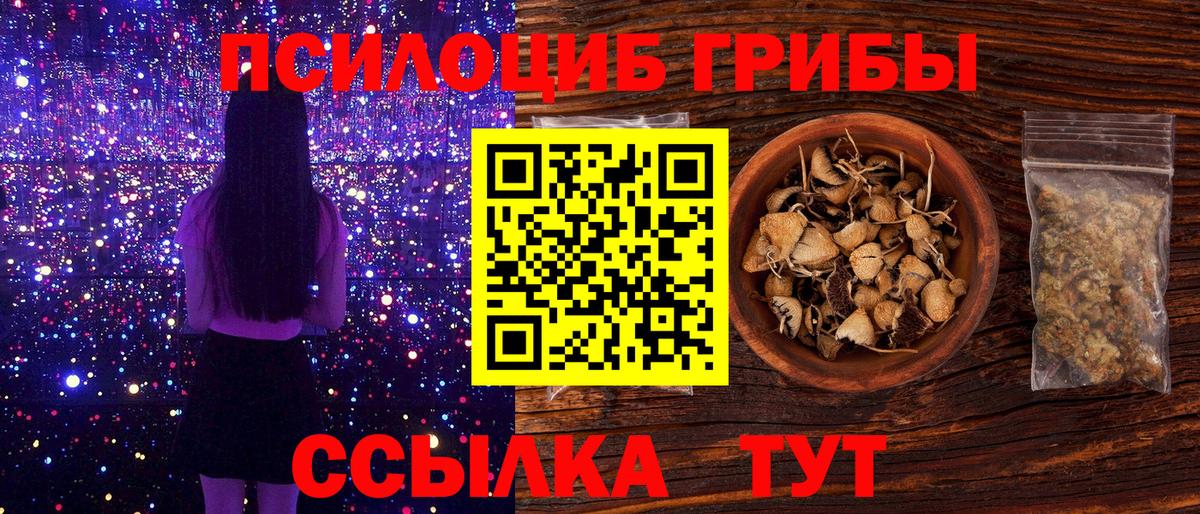 Псилоцибиновые грибы мухоморы Бийск