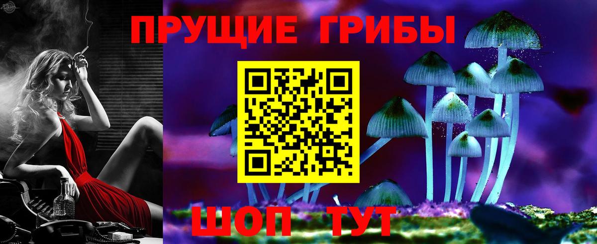 Галлюциногенные грибы MAGIC MUSHROOMS  Псилоцибиновые грибы Magic Shrooms  Бийск  Вход с VPN 