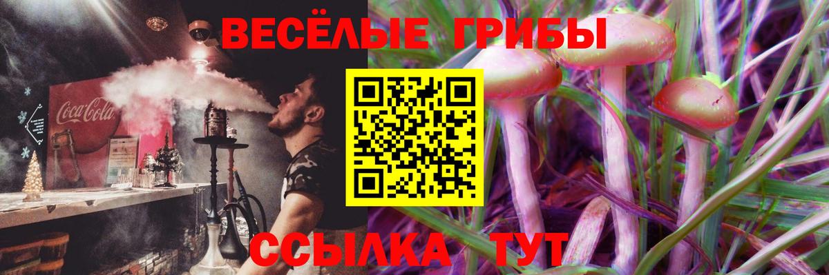 Cocaine Бийск