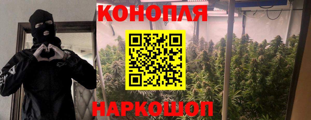 Конопля THC 21%  Бошки Шишки конопля  Бийск  Конопля сатива  Вход с VPN 